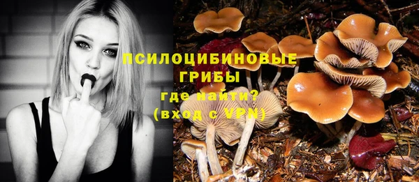 COCAINE Верея