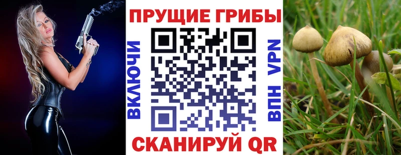 Галлюциногенные грибы MAGIC MUSHROOMS Северобайкальск
